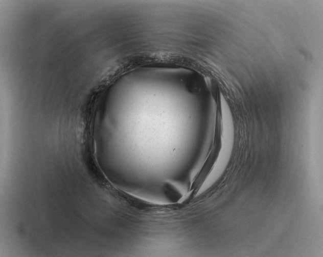 X0000116870750201001051444