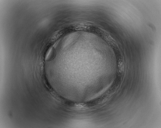 X0000116870753201001051444