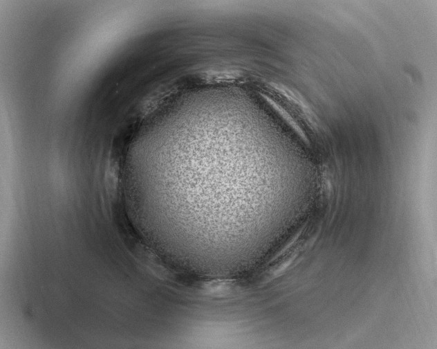 X0000116870761201001051444