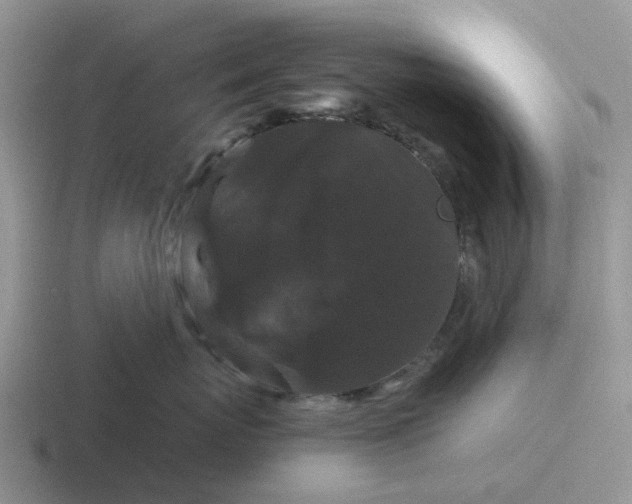 X0000116870767201001051444