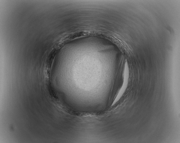 X0000116870770201001051444