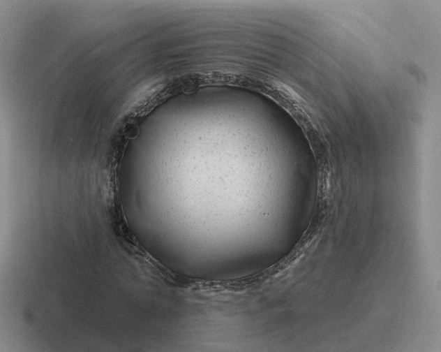 X0000116870774201001051444