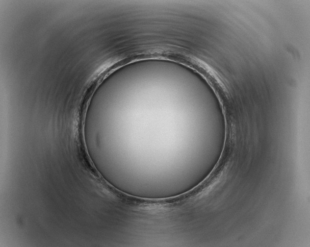 X0000116870778201001051444
