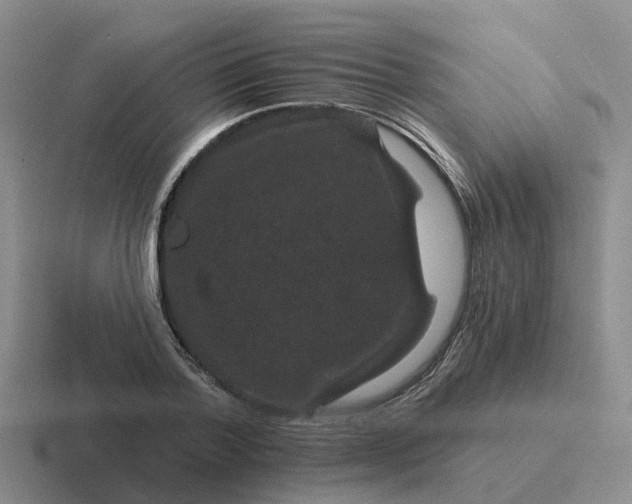 X0000116870788201001051443