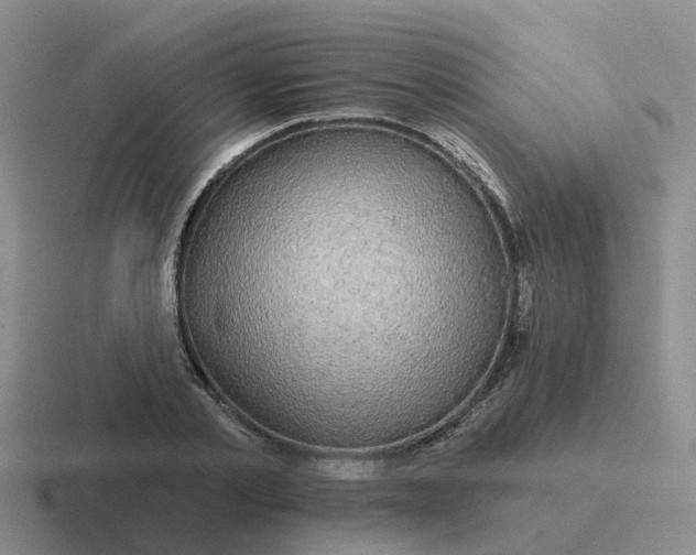 X0000116870789201001051443