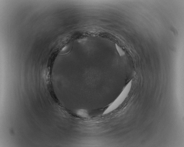 X0000116870818201001051442