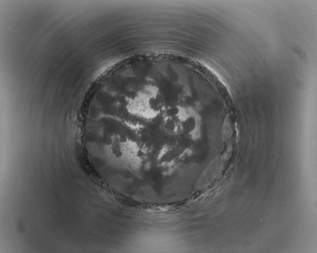 X0000116870823201001051443