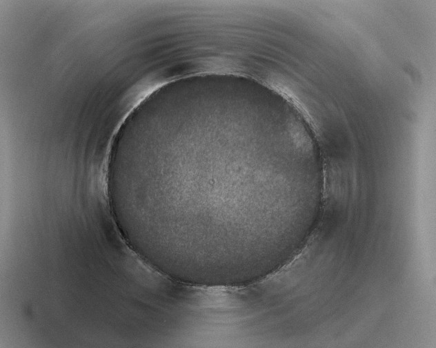 X0000116870828201001051443