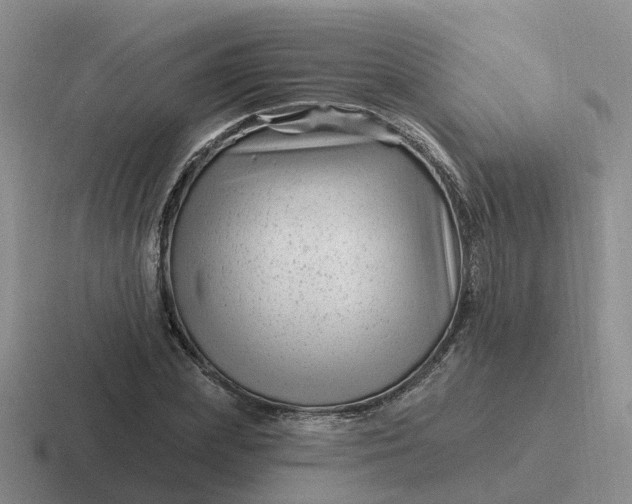 X0000116870831201001051443