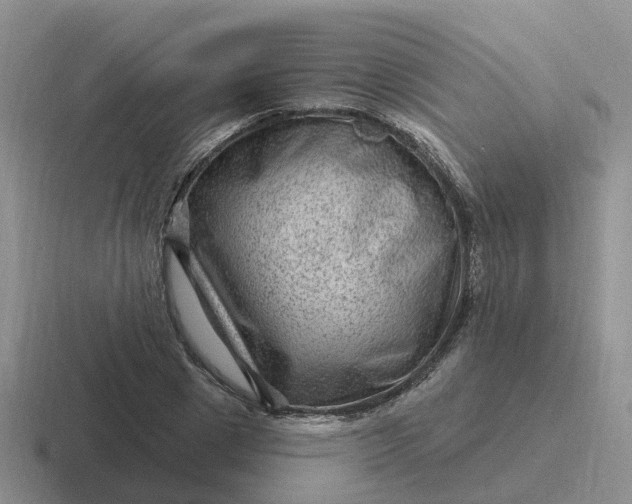 X0000116870833201001051443