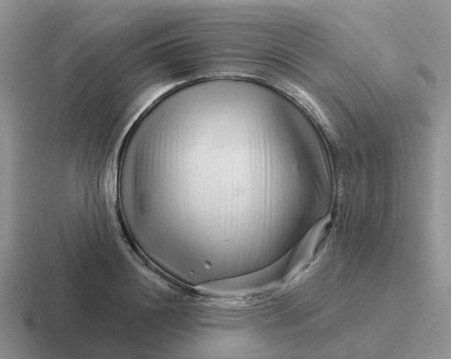 X0000116870844201001051443