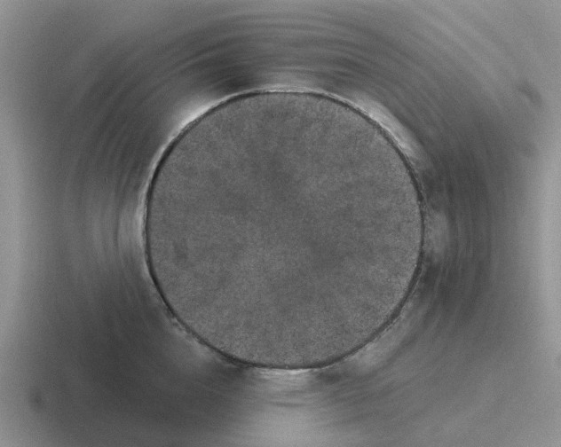 X0000116870856201001051443