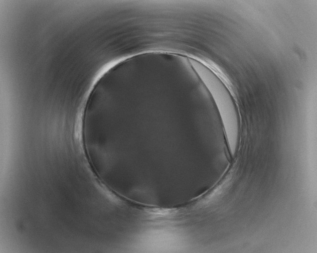 X0000116870862201001051443