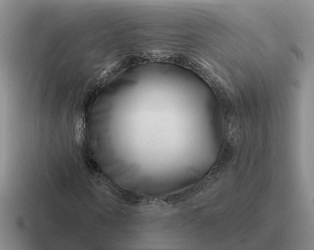 X0000116870866201001051442