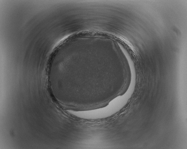 X0000116870872201001051442