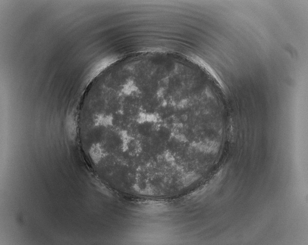 X0000116870874201001051442