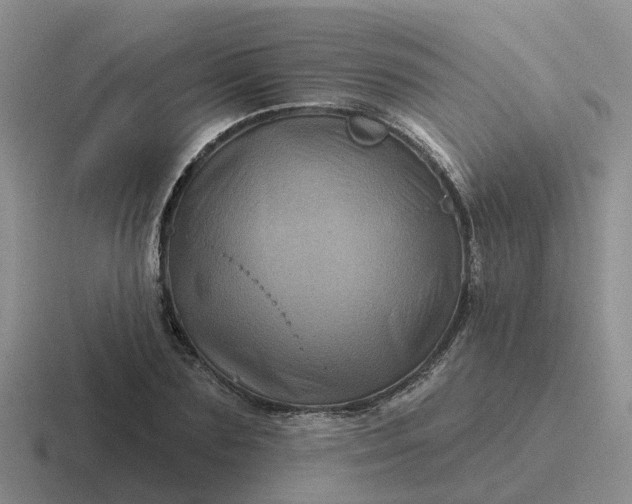 X0000116870883201001051442