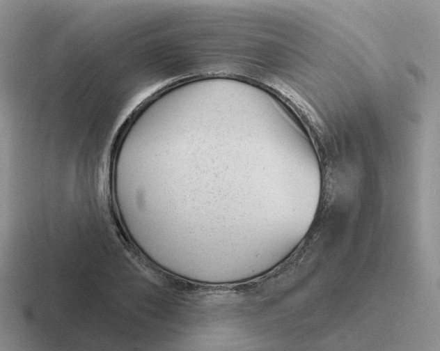 X0000116870886201001051442