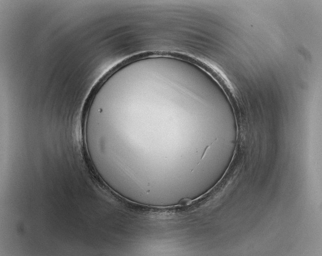 X0000116870887201001051442