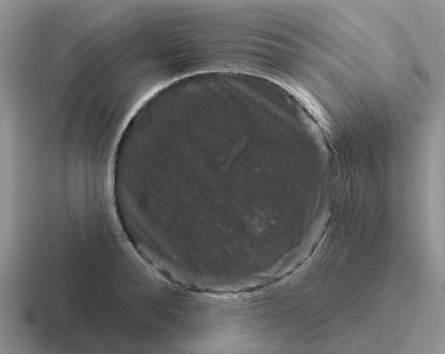 X0000116870896201001051442