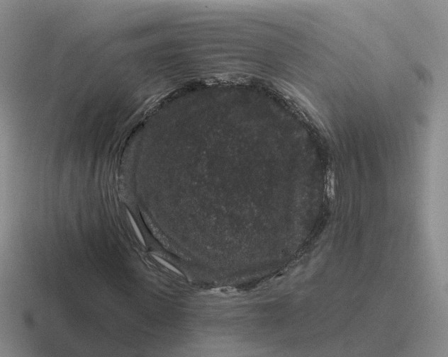 X0000116870915201001051441