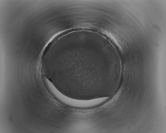 X0000116870923201001051441