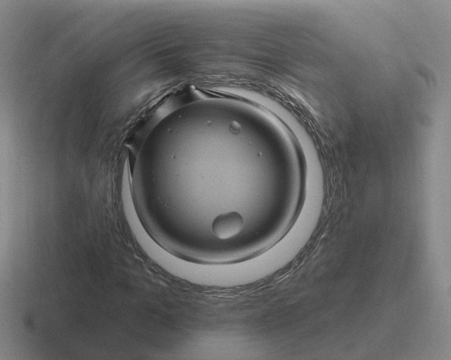 X0000116870965201001051441