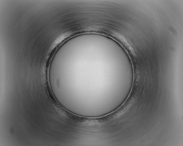 X0000116870978201001051441