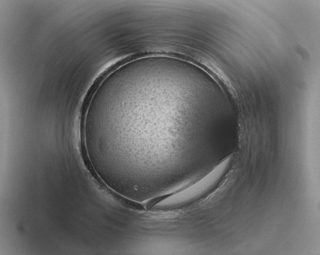 X0000116870984201001051441
