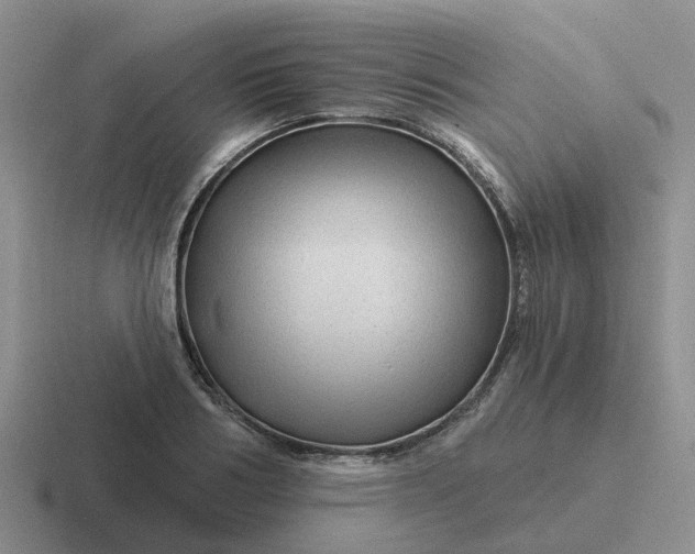 X0000116870986201001051441