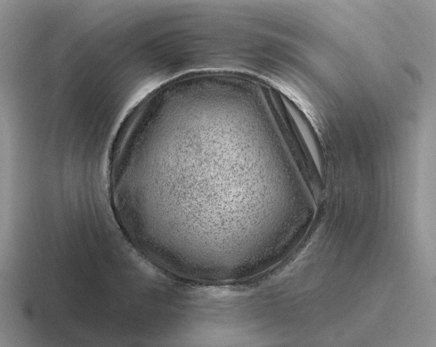X0000116870990201001051441