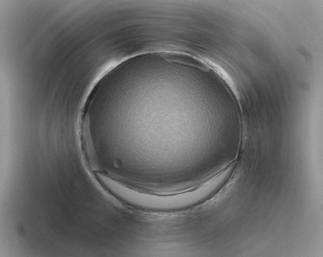 X0000116870997201001051441