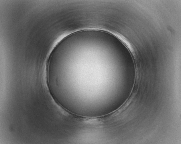 X0000116871006201001051441