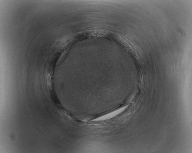 X0000116871010201001051440