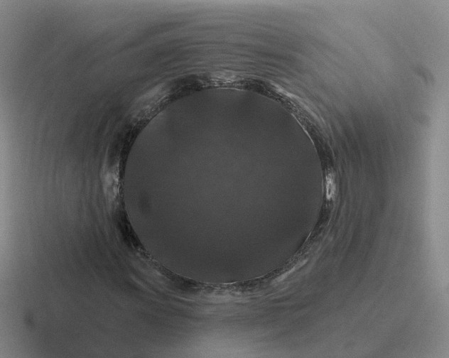 X0000116871011201001051440