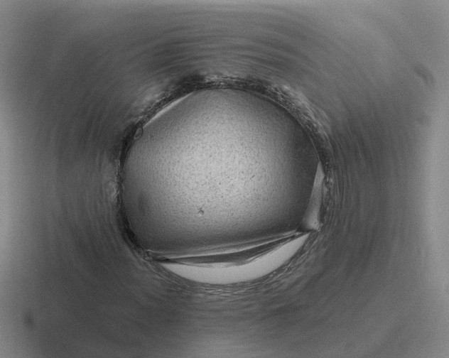 X0000116871012201001051440