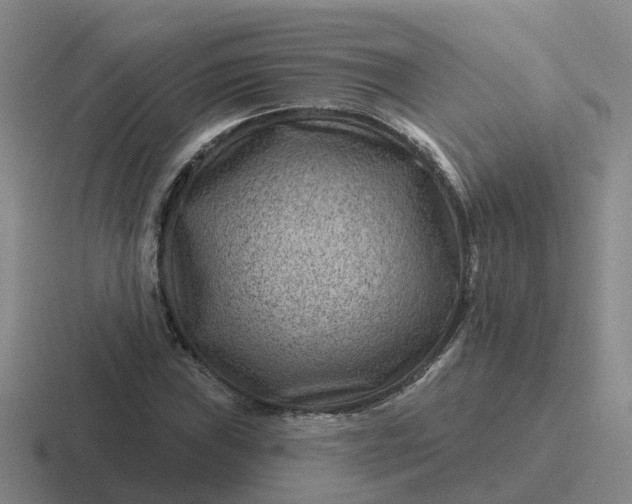 X0000116871019201001051440