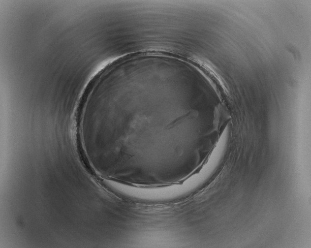 X0000116871024201001051440