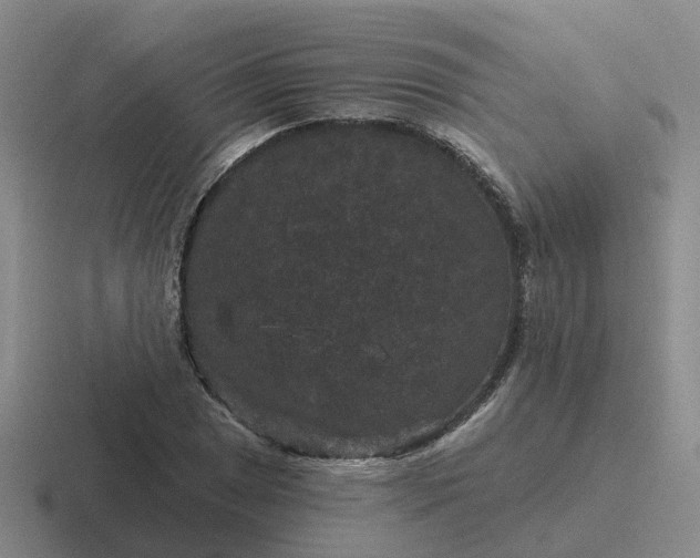 X0000116871025201001051440