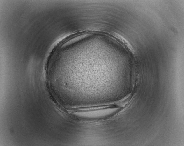 X0000116871027201001051440