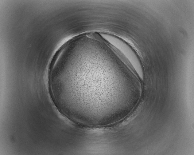X0000116871038201001051440
