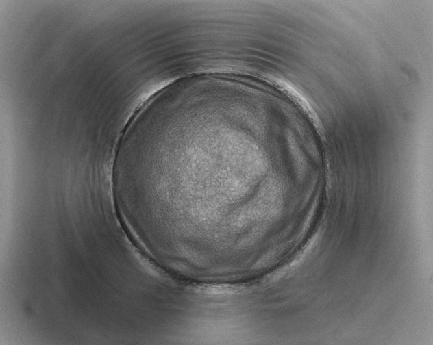 X0000116871041201001051440