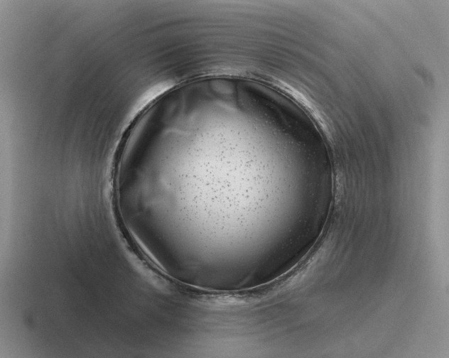 X0000116871042201001051440