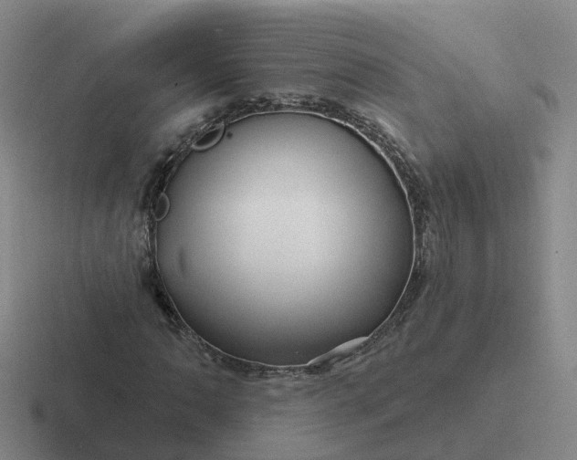 X0000116871062201001051440