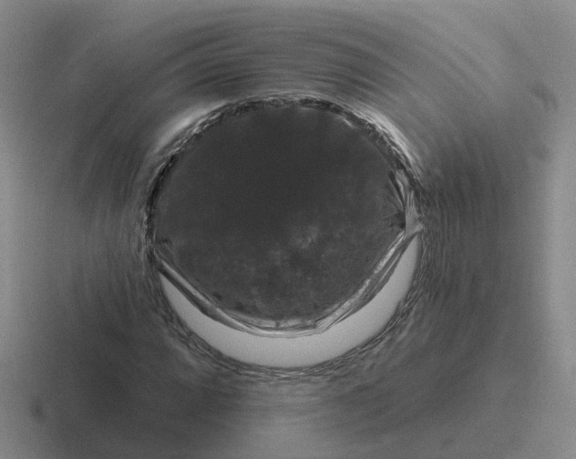 X0000116871064201001051440