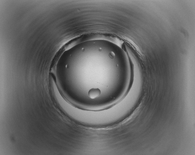 X0000116871065201001051440