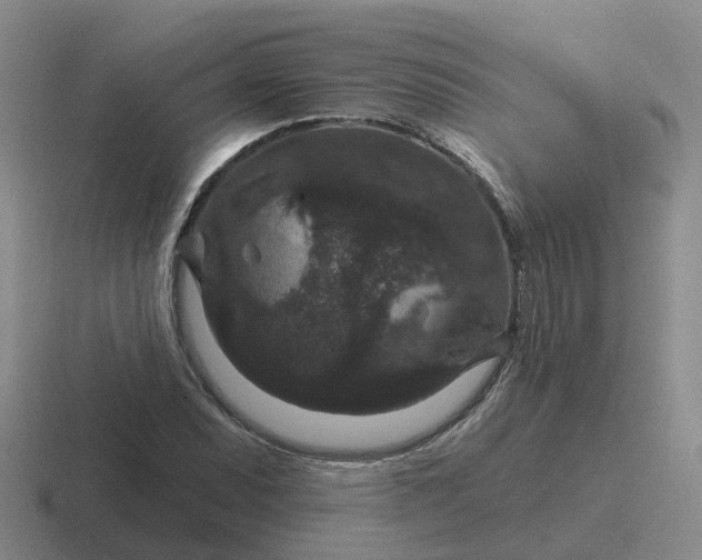 X0000116871071201001051440
