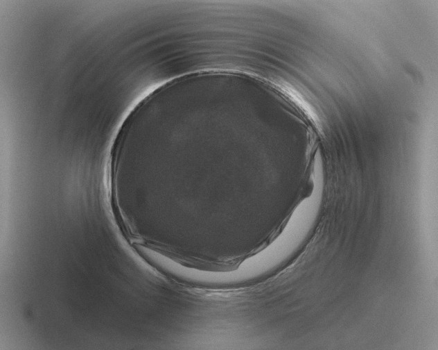 X0000116871084201001051440