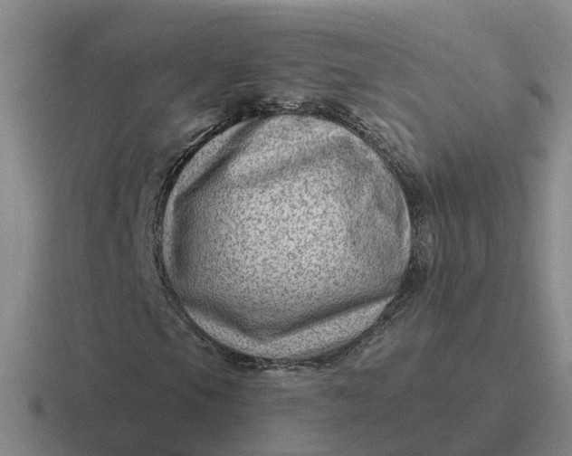 X0000116871105201001051439