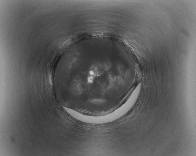 X0000116871106201001051439